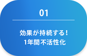 効果が持続する！1年間不活性化